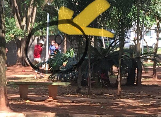 Pet Parque
